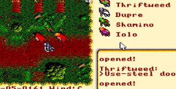 Ultima VI: The False Prophet PC Screenshot