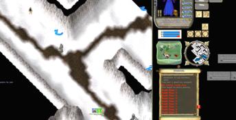 Ultima Online Renaissance PC Screenshot