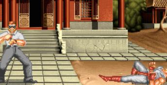 Ultimate Body Blows PC Screenshot
