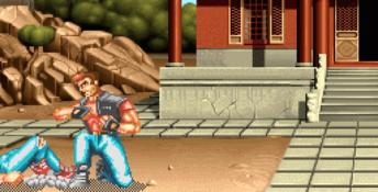 Ultimate Body Blows PC Screenshot