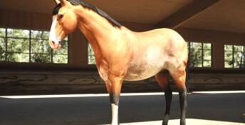 Unbridled: That Horse Game