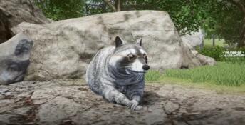 Wanted Raccoon