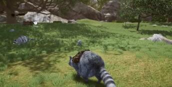 Wanted Raccoon