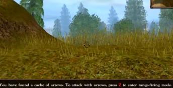 Wars and Warriors: Joan of Arc PC Screenshot