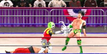 WWF WrestleMania: The Arcade Game PC Screenshot