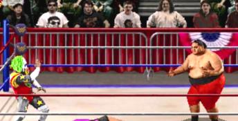 WWF WrestleMania: The Arcade Game PC Screenshot