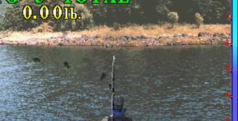 Fisherman's Bait Playstation Screenshot