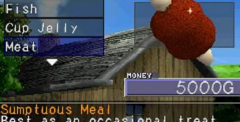 Monster Farm 2