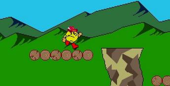 Namco Museum 4