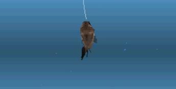 Reel Fishing 2