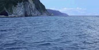 Reel Fishing 2