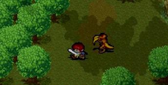Shining Wisdom Playstation Screenshot