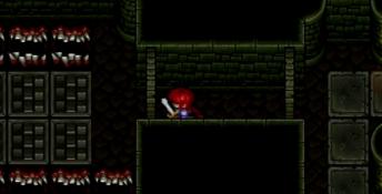 Shining Wisdom Playstation Screenshot