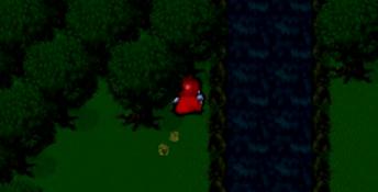 Shining Wisdom Playstation Screenshot