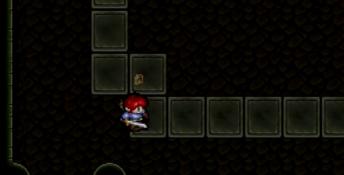 Shining Wisdom Playstation Screenshot