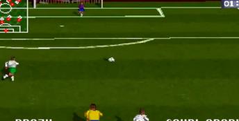 Striker '96 Playstation Screenshot
