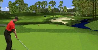 Tiger Woods 99