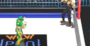 WCW vs The World