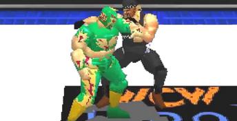 WCW vs The World Playstation Screenshot