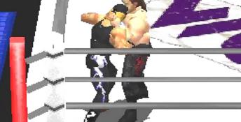 WCW vs The World Playstation Screenshot