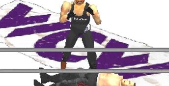 WCW vs The World Playstation Screenshot
