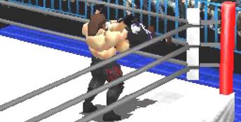 WCW vs The World Playstation Screenshot