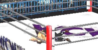 WCW vs The World