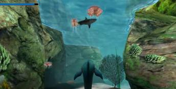Ecco The Dolphin