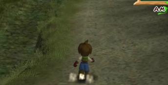 Harvest Moon: A Wonderful Life