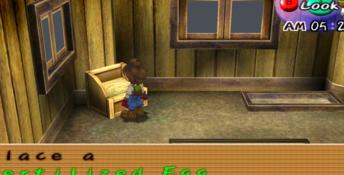 Harvest Moon: A Wonderful Life Special Edition Playstation 2 Screenshot