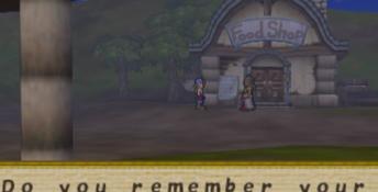 Harvest Moon: Save The Homeland Playstation 2 Screenshot
