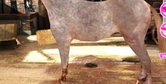 Horsez Playstation 2 Screenshot