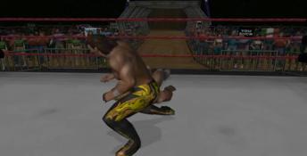 Legends of Wrestling II Playstation 2 Screenshot