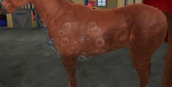 Let's Ride: Silver Buckle Stables