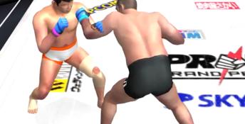 Pride FC Playstation 2 Screenshot