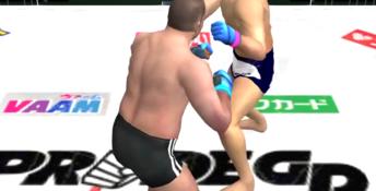 Pride FC Playstation 2 Screenshot