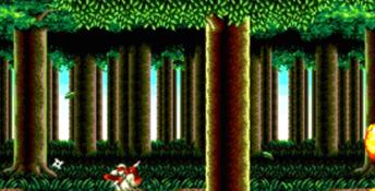 Sega Genesis Collection