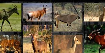 Afrika Playstation 3 Screenshot