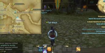 Final Fantasy XIV A Realm Reborn Playstation 3 Screenshot