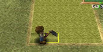 Harvest Moon A Wonderful Life Special Edition