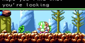 Monster World IV
