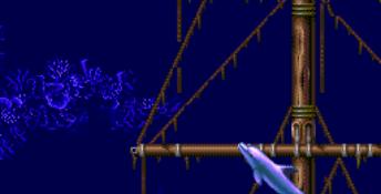 Ecco 2: Tides Of Time Sega CD Screenshot