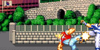 Fatal Fury Special Sega CD Screenshot