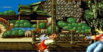 Fatal Fury Special Sega CD Screenshot