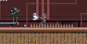 Wolfchild Sega CD Screenshot