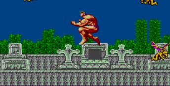 Altered Beast Sega Master System Screenshot