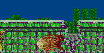 Altered Beast Sega Master System Screenshot