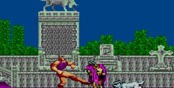 Altered Beast Sega Master System Screenshot