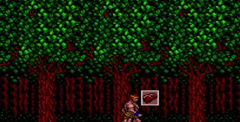 Danan: The Jungle Fighter