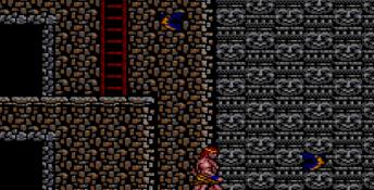 Danan: The Jungle Fighter Sega Master System Screenshot